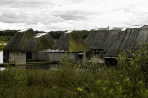 Brockholes Nature Reserve in Lancashire
